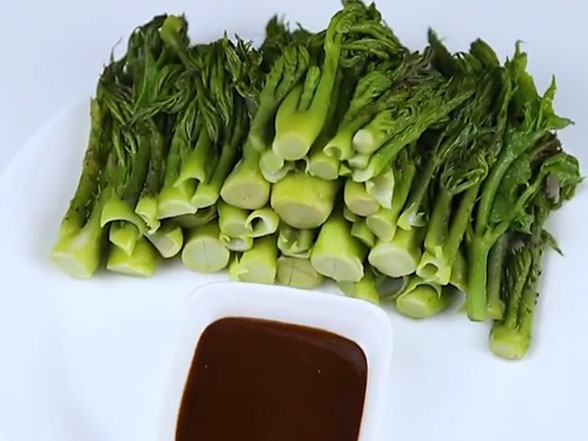刺嫩芽的吃饭
